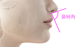 鼻を横から見たときは鼻柱と上唇とのなす角度(鼻唇角)が鼻柱の形態や位置を評価する重要なポイント