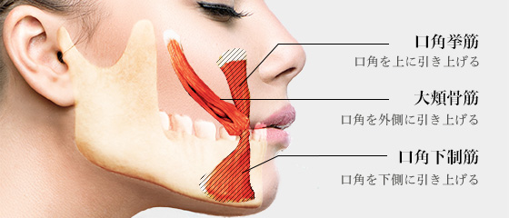 「口角の下降」の原因