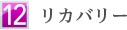 (12) リカバリー