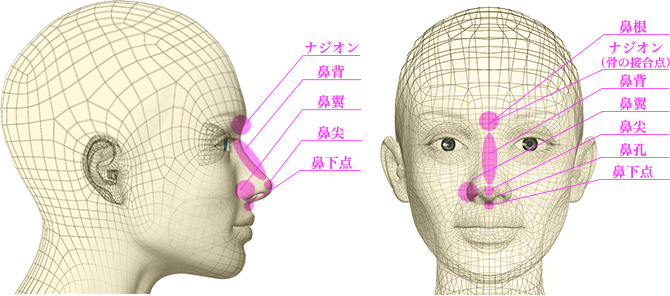 輪郭とのバランス、機能を考慮した鼻の形成