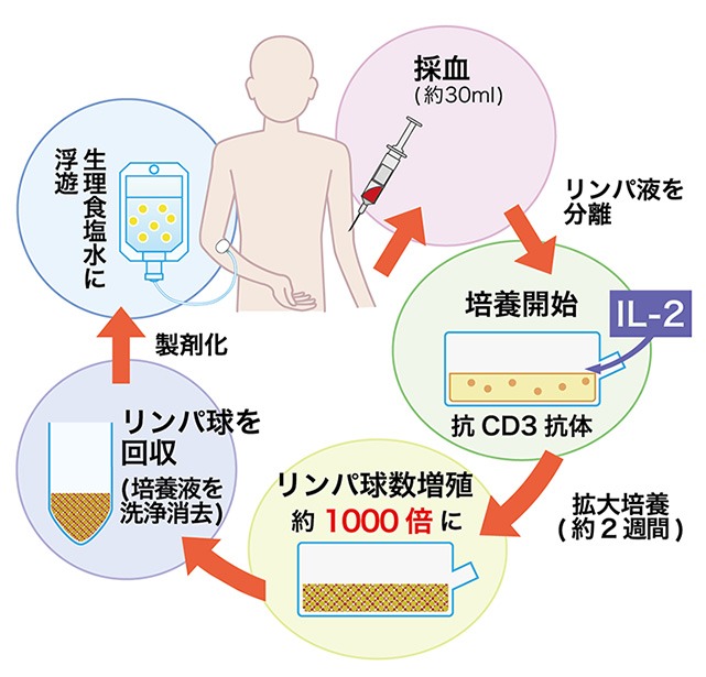 リンパ球減少症